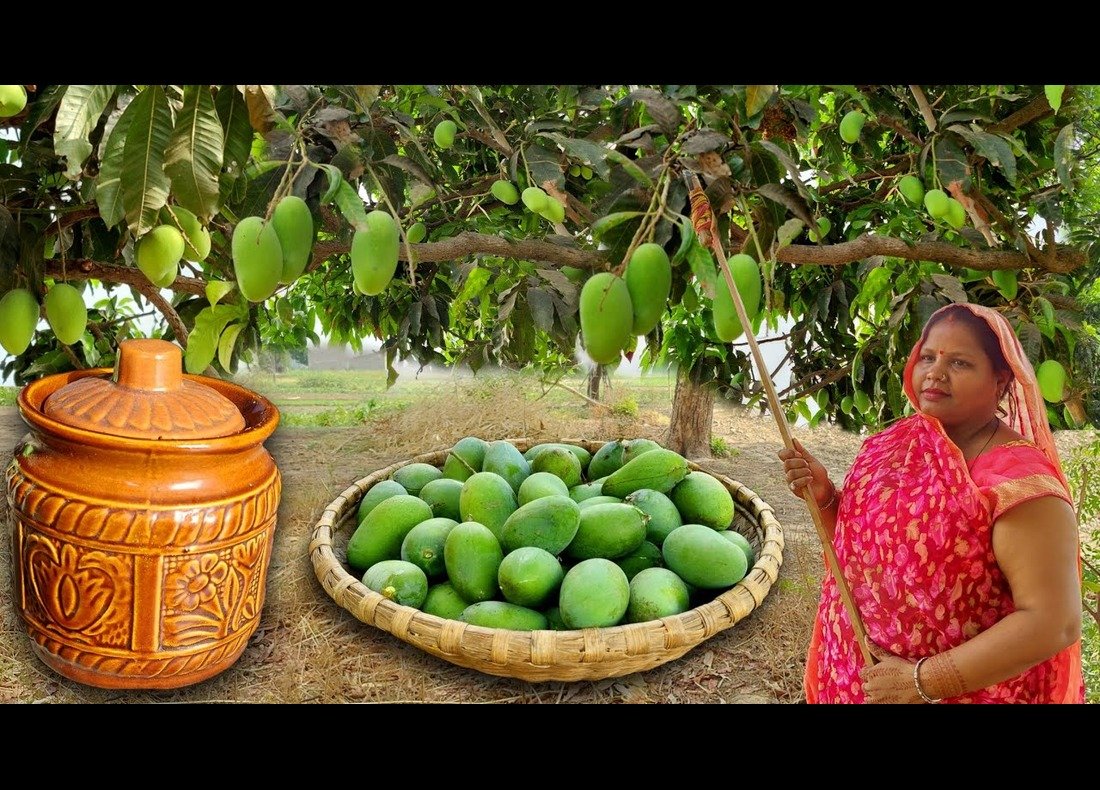 Mango pickle indian recipe